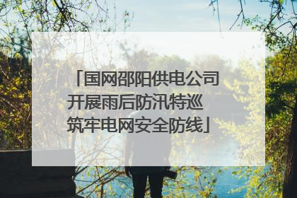 国网邵阳供电公司开展雨后防汛特巡 筑牢电网安全防线