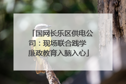 国网长乐区供电公司：现场联合践学 廉政教育入脑入心