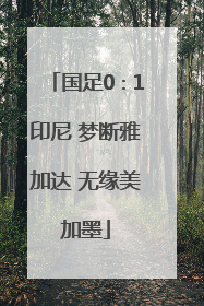 国足0∶1印尼 梦断雅加达 无缘美加墨