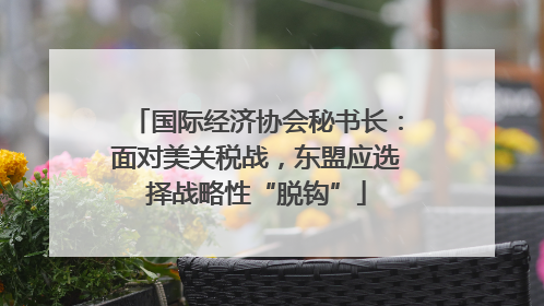 国际经济协会秘书长：面对美关税战，东盟应选择战略性“脱钩”
