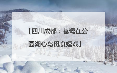 四川成都：苍鹭在公园湖心岛觅食嬉戏