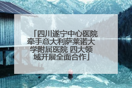 四川遂宁中心医院牵手意大利萨莱诺大学附属医院 四大领域开展全面合作