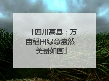 四川高县：万亩稻田绿意盎然 美景如画