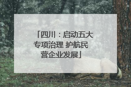 四川：启动五大专项治理 护航民营企业发展