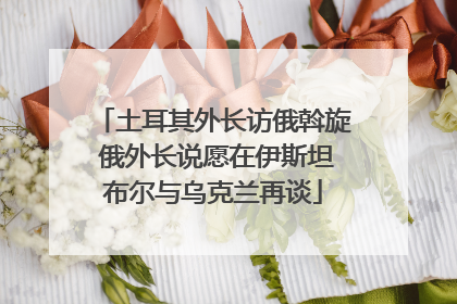 土耳其外长访俄斡旋 俄外长说愿在伊斯坦布尔与乌克兰再谈