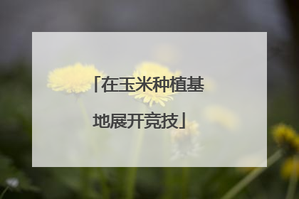 在玉米种植基地展开竞技