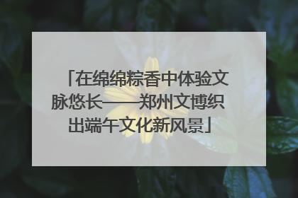 在绵绵粽香中体验文脉悠长——郑州文博织出端午文化新风景