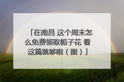 在南昌 这个周末怎么免费领取栀子花 看这篇就够啦（图）