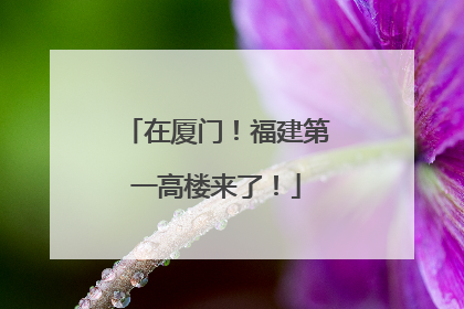 在厦门！福建第一高楼来了！