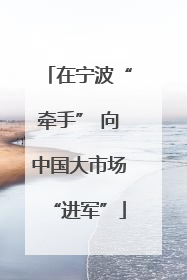 在宁波“牵手” 向中国大市场“进军”