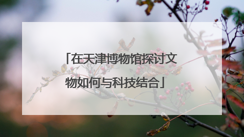 在天津博物馆探讨文物如何与科技结合