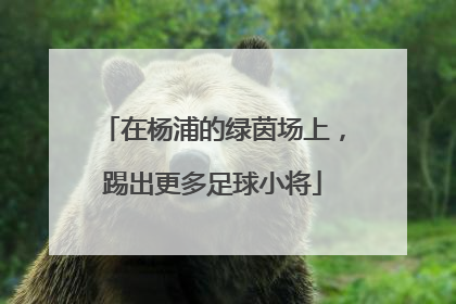 在杨浦的绿茵场上，踢出更多足球小将