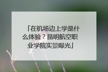 在机场边上学是什么体验？昆明航空职业学院实景曝光