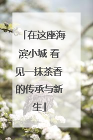 在这座海滨小城 看见一抹茶香的传承与新生