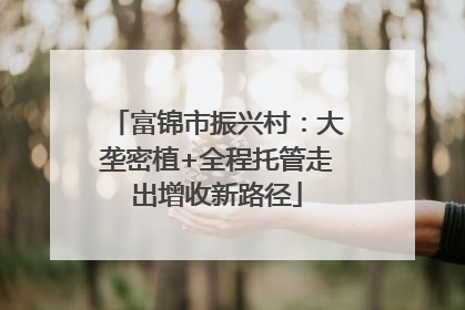 富锦市振兴村：大垄密植+全程托管走出增收新路径
