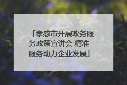 孝感市开展政务服务政策宣讲会 精准服务助力企业发展