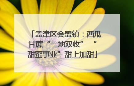 孟津区会盟镇：西瓜甘蔗“一地双收” “甜蜜事业”甜上加甜