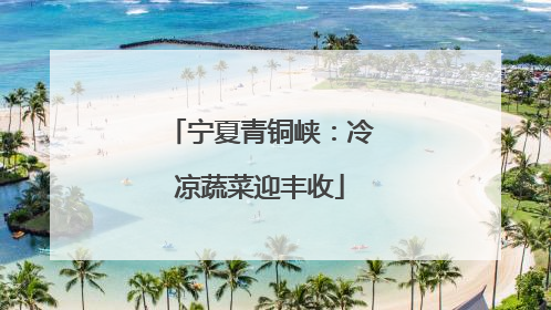 宁夏青铜峡：冷凉蔬菜迎丰收