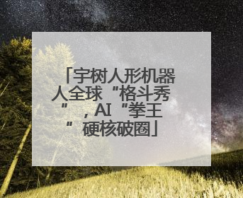 宇树人形机器人全球“格斗秀”，AI“拳王”硬核破圈