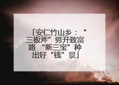 安仁竹山乡：“三板斧”劈开致富路 “新三宝”种出好“钱”景