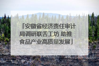 安徽省经济责任审计局调研联舌工坊 助推食品产业高质量发展