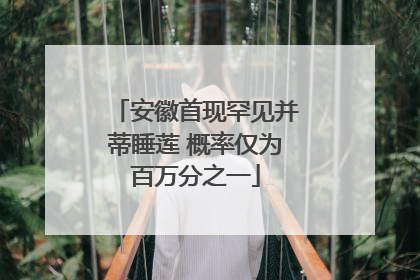 安徽首现罕见并蒂睡莲 概率仅为百万分之一