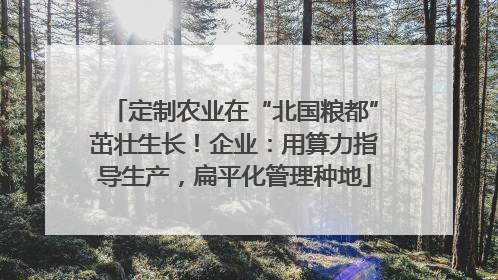 定制农业在“北国粮都”茁壮生长！企业：用算力指导生产，扁平化管理种地