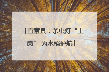 宜章县：杀虫灯“上岗” 为水稻护航