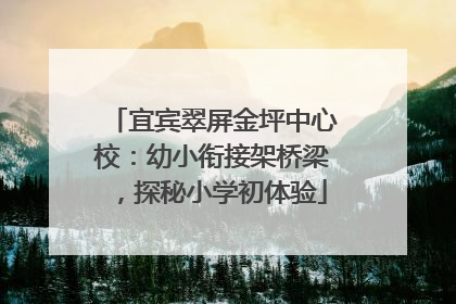 宜宾翠屏金坪中心校：幼小衔接架桥梁，探秘小学初体验