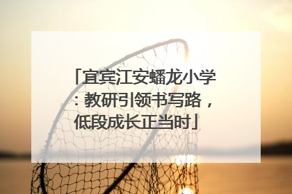 宜宾江安蟠龙小学：教研引领书写路，低段成长正当时