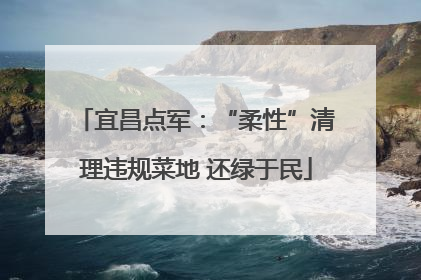 宜昌点军：“柔性”清理违规菜地 还绿于民