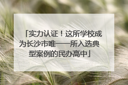 实力认证！这所学校成为长沙市唯一一所入选典型案例的民办高中