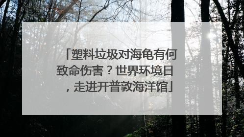 塑料垃圾对海龟有何致命伤害？世界环境日，走进开普敦海洋馆