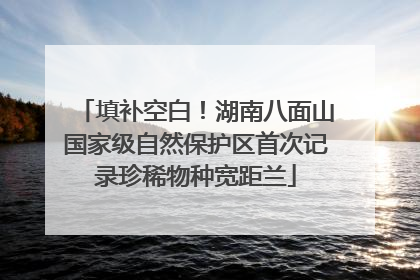 填补空白！湖南八面山国家级自然保护区首次记录珍稀物种宽距兰