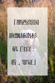 墨西哥国旗飘扬洛杉矶 白宫：看，罪证