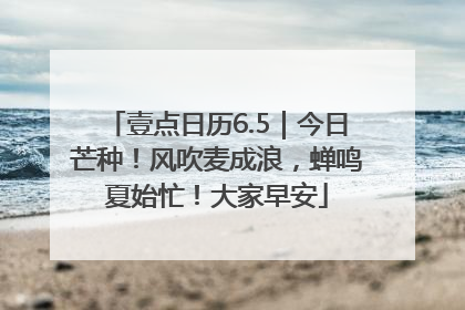 壹点日历6.5｜今日芒种！风吹麦成浪，蝉鸣夏始忙！大家早安
