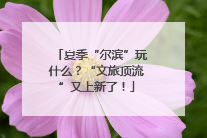 夏季“尔滨”玩什么？“文旅顶流”又上新了！