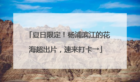 夏日限定！杨浦滨江的花海超出片，速来打卡→