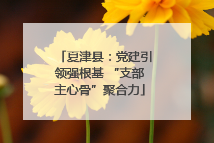 夏津县：党建引领强根基 “支部主心骨”聚合力