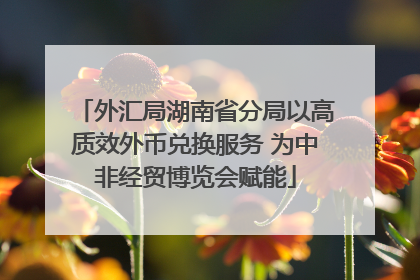 外汇局湖南省分局以高质效外币兑换服务 为中非经贸博览会赋能