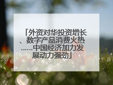 外资对华投资增长、数字产品消费火热……中国经济加力发展动力强劲