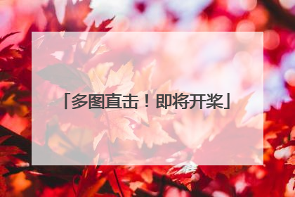 多图直击！即将开桨