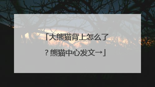 大熊猫背上怎么了？熊猫中心发文→
