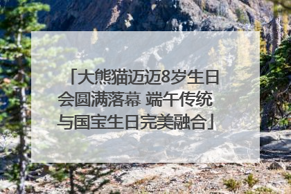 大熊猫迈迈8岁生日会圆满落幕 端午传统与国宝生日完美融合