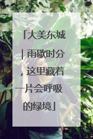 大美东城｜雨歇时分，这里藏着一片会呼吸的绿境