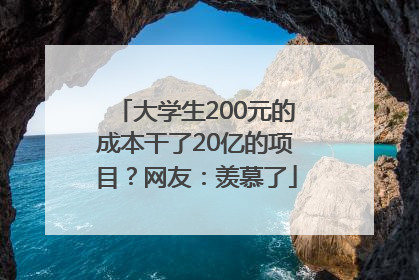大学生200元的成本干了20亿的项目？网友：羡慕了