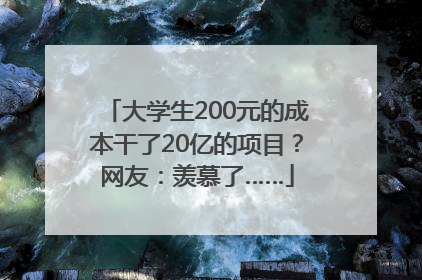 大学生200元的成本干了20亿的项目？网友：羡慕了……