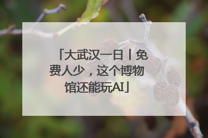 大武汉一日丨免费人少，这个博物馆还能玩AI