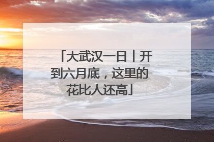 大武汉一日︱开到六月底，这里的花比人还高