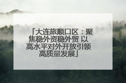 大连旅顺口区：聚焦稳外资稳外贸 以高水平对外开放引领高质量发展